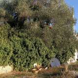 Il giardino interno � invece dominato da erbacce e rifiuti